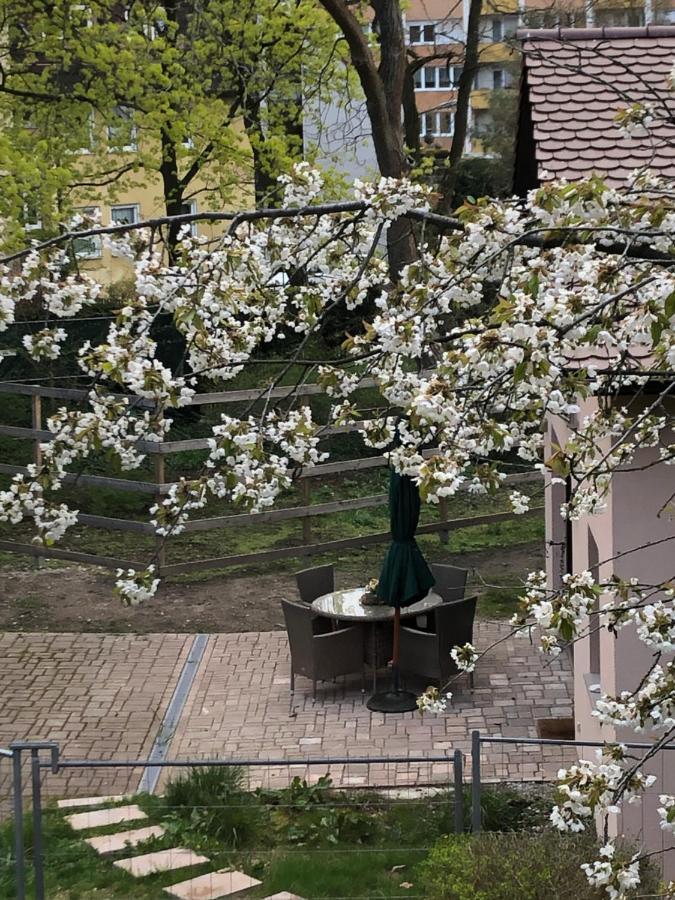 Forsthaus Zu Lichtenhof Nuremberg ภายนอก รูปภาพ